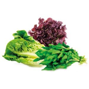 Mix de hojas verdes (lavadas) 250 g