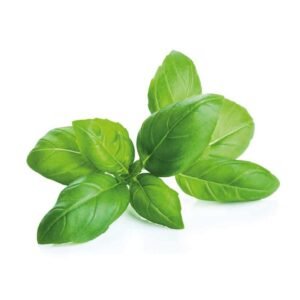 Albahaca fresca (paquete) 50 g