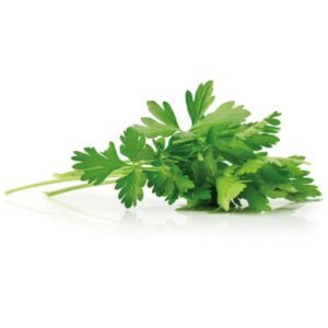 Perejil 100 g