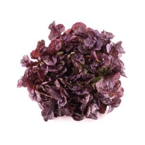 Lechuga morada 300 g