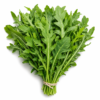 ChatGPT Image 13 jul 2026 13 41 43.png