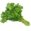 Cilantro.jpg