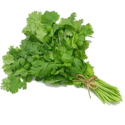 cilantro.jpg Cilantro.jpg